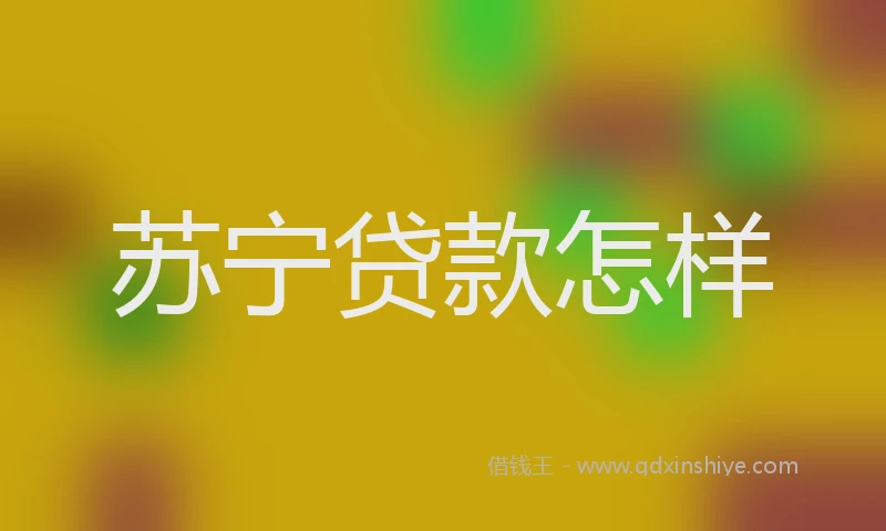 苏宁贷款怎样