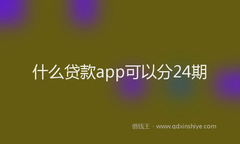什么贷款app可以分24期