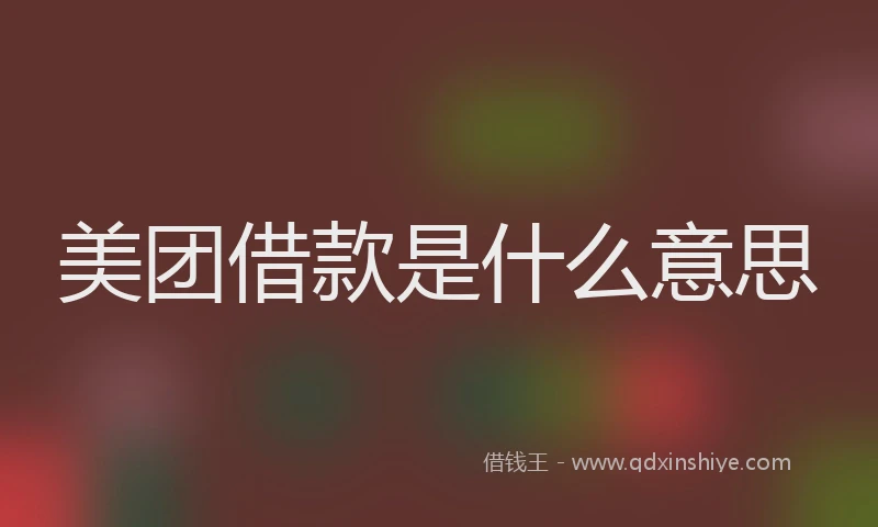 美团借款是什么意思