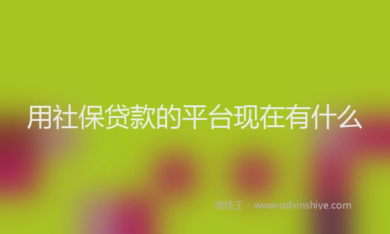 用社保贷款的平台现在有什么