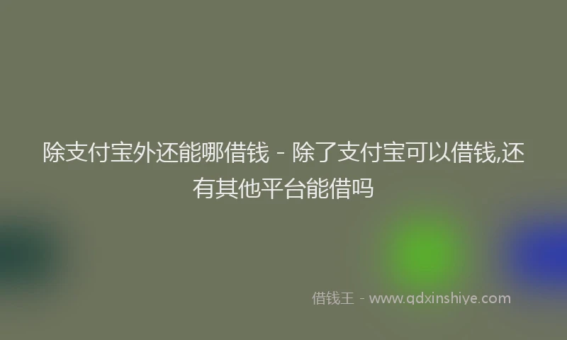 除支付宝外还能哪借钱 - 除了支付宝可以借钱,还有其他平台能借吗