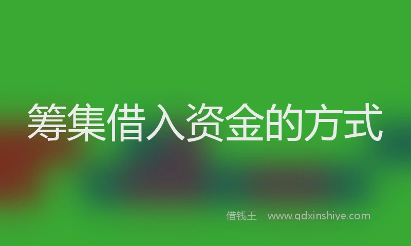 筹集借入资金的方式