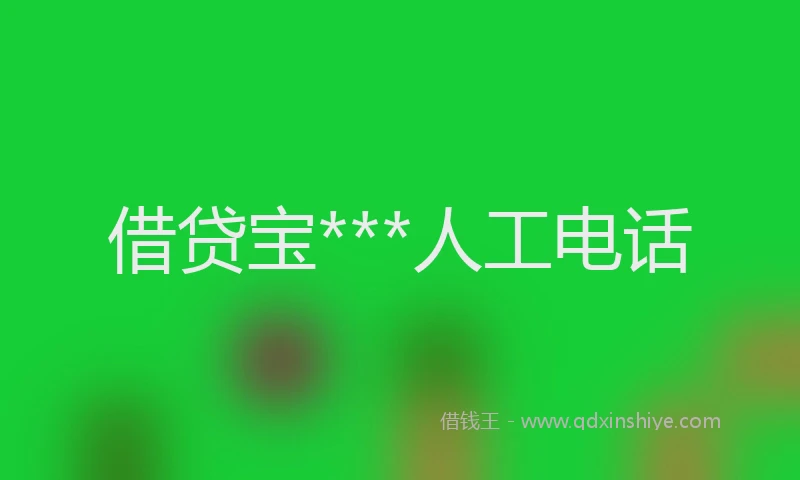 借贷宝***人工电话