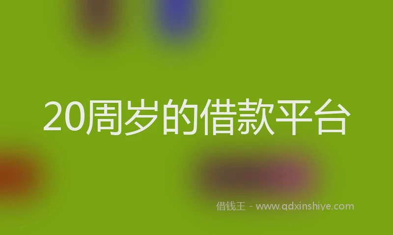 20周岁的借款平台