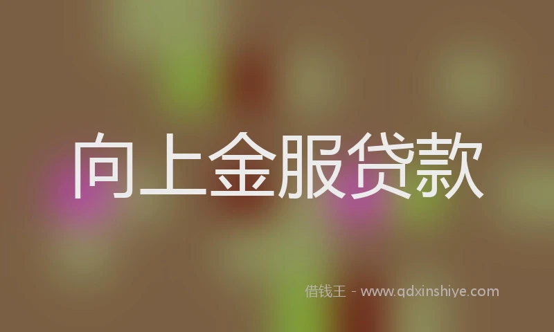 向上金服贷款