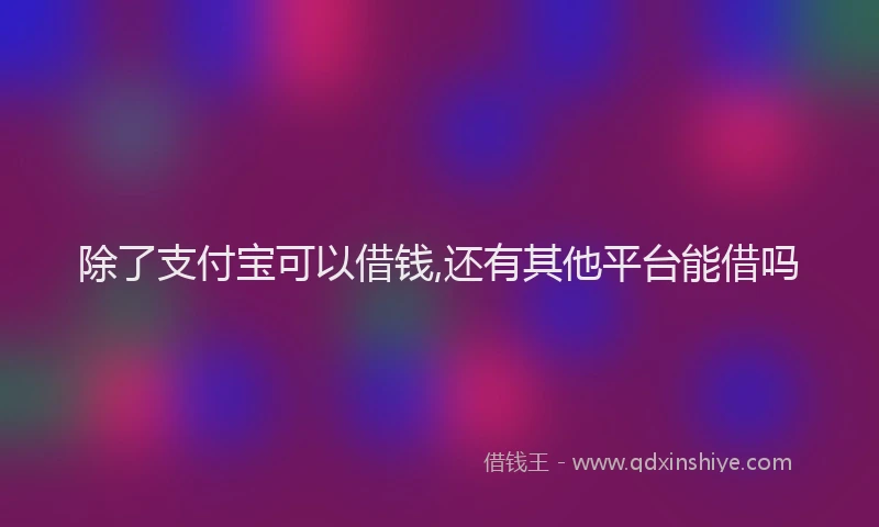 除了支付宝可以借钱,还有其他平台能借吗