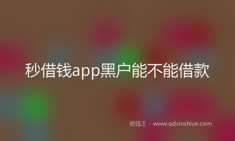 秒借钱app黑户能不能借款