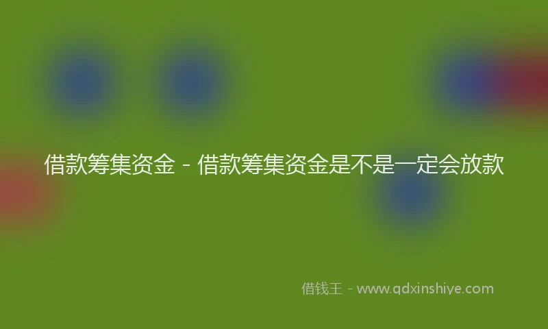 借款筹集资金 - 借款筹集资金是不是一定会放款
