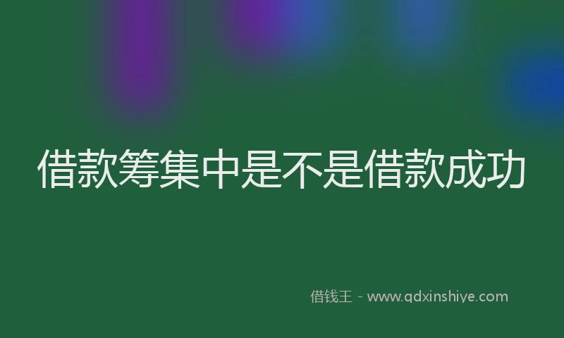 借款筹集中是不是借款成功