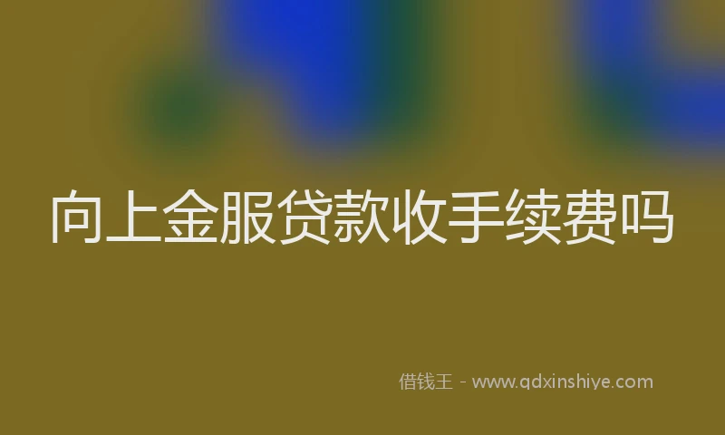向上金服贷款收手续费吗