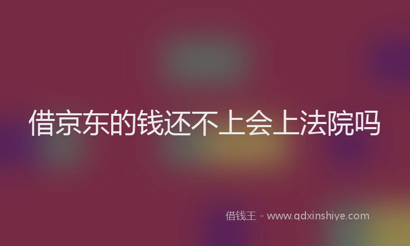 借京东的钱还不上会上法院吗