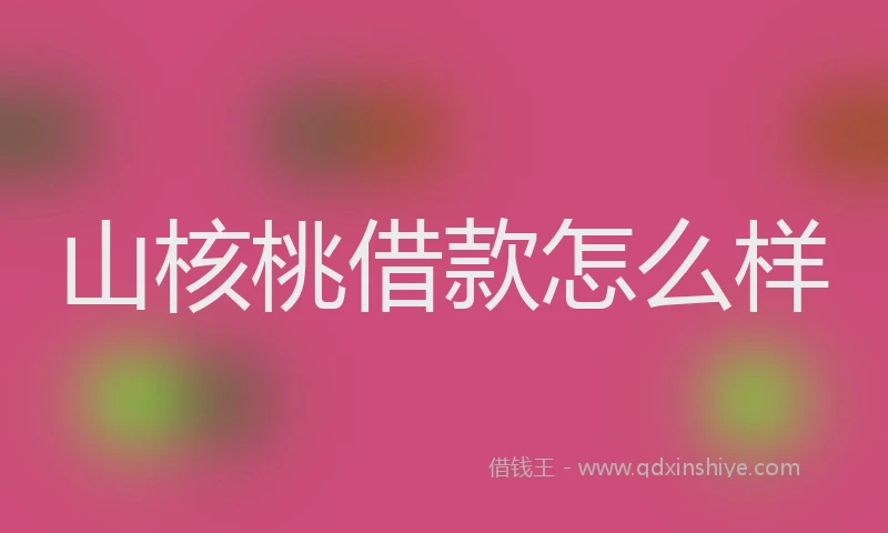 山核桃借款怎么样