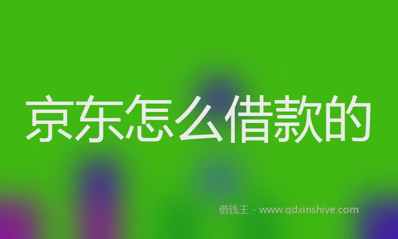 京东怎么借款的