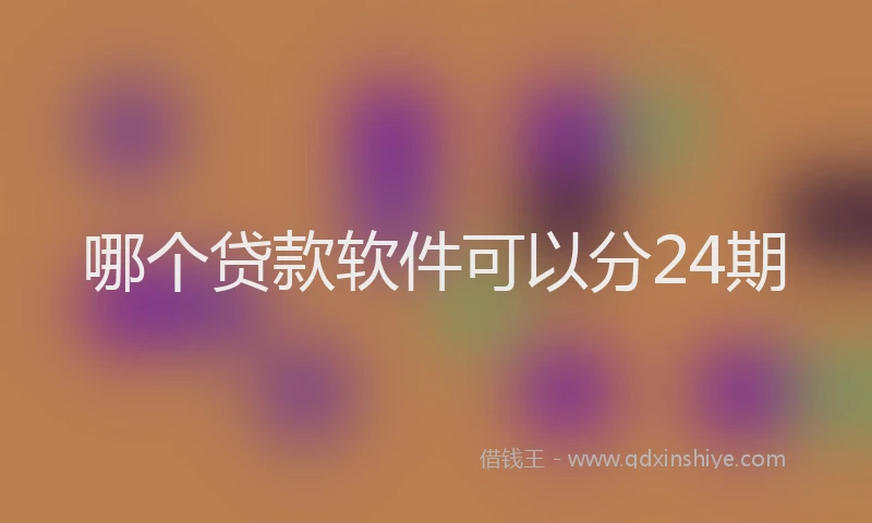 哪个贷款软件可以分24期