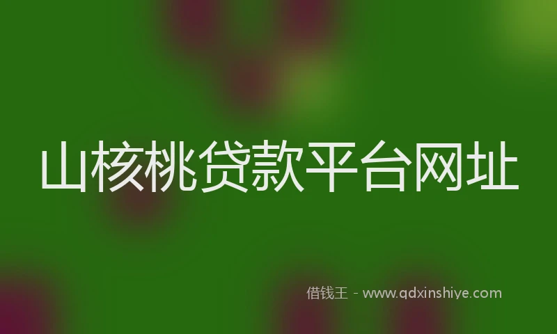 山核桃贷款平台网址