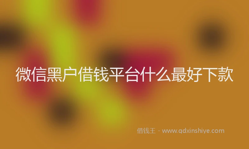 微信黑户借钱平台什么最好下款