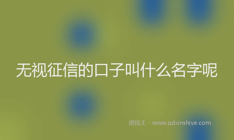 无视征信的口子叫什么名字呢