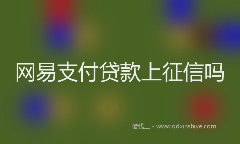 网易支付贷款上征信吗