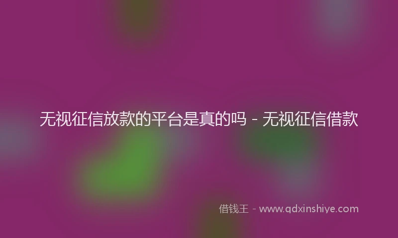 无视征信放款的平台是真的吗 - 无视征信借款