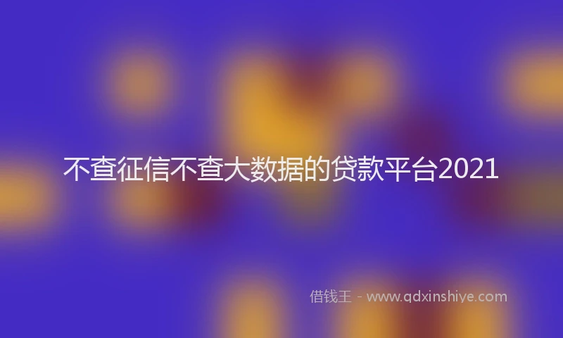 不查征信不查大数据的贷款平台2021