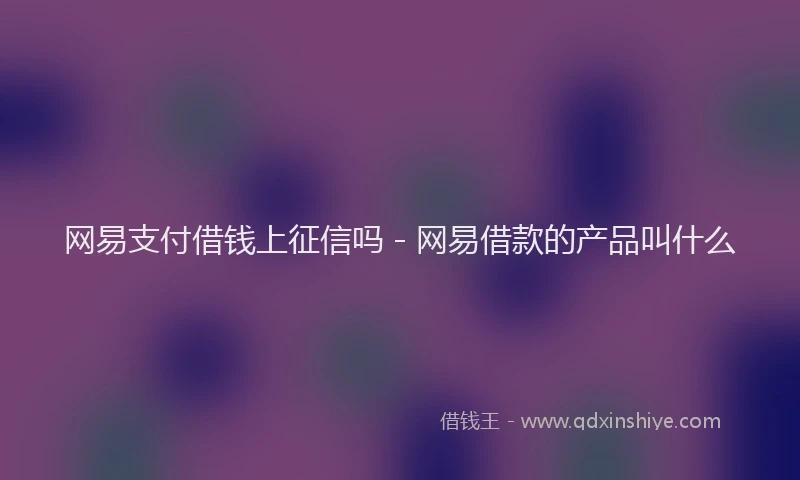 网易支付借钱上征信吗 - 网易借款的产品叫什么