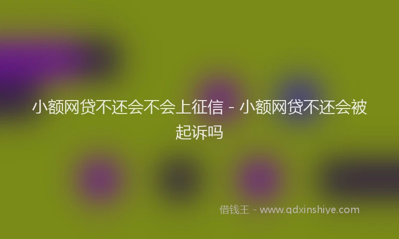 小额网贷不还会不会上征信 - 小额网贷不还会被起诉吗