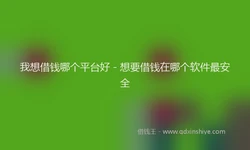 我想借钱哪个平台好 - 想要借钱在哪个软件最安全