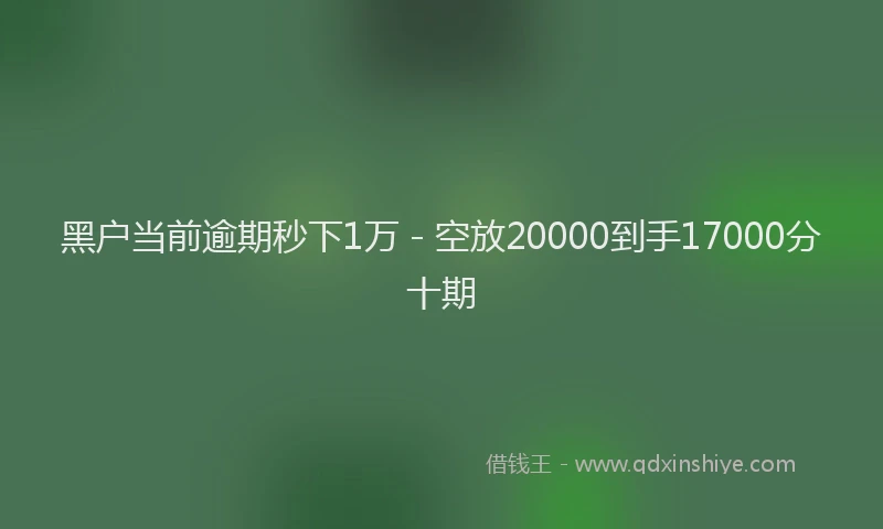 黑户当前逾期秒下1万 - 空放20000到手17000分十期