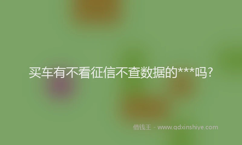 买车有不看征信不查数据的***吗?