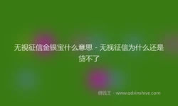 无视征信金银宝什么意思 - 无视征信为什么还是贷不了