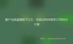 黑户当前逾期秒下1万 - 空放20000到手17000分十期