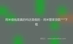 用米借钱是真的吗还是假的 - 用米管家贷款***下载