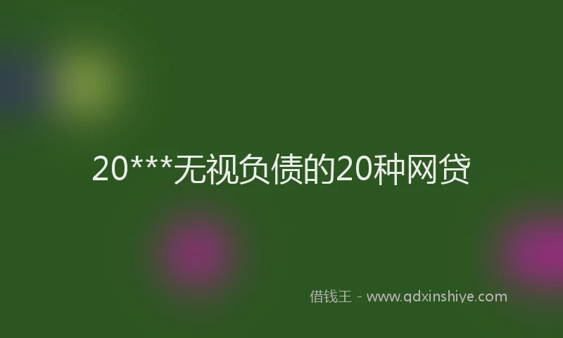 20***无视负债的20种网贷