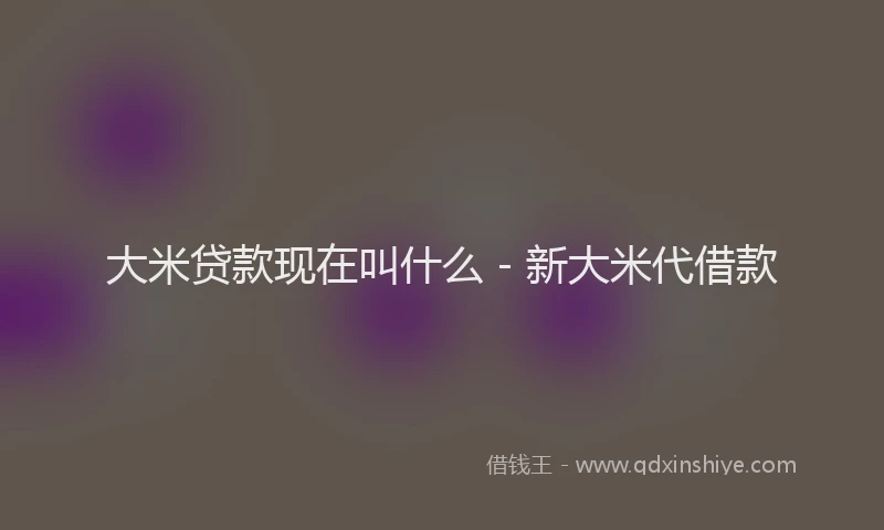 大米贷款现在叫什么 - 新大米代借款