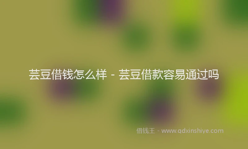 芸豆借钱怎么样 - 芸豆借款容易通过吗