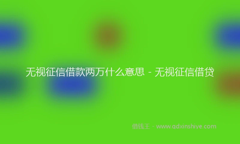 无视征信借款两万什么意思 - 无视征信借贷