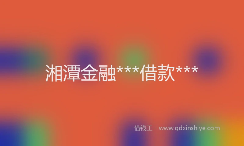 湘潭金融***借款***