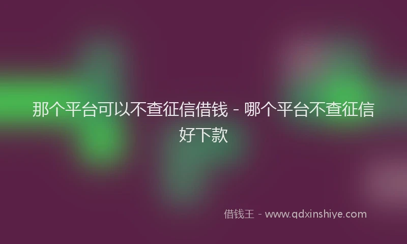 那个平台可以不查征信借钱 - 哪个平台不查征信好下款