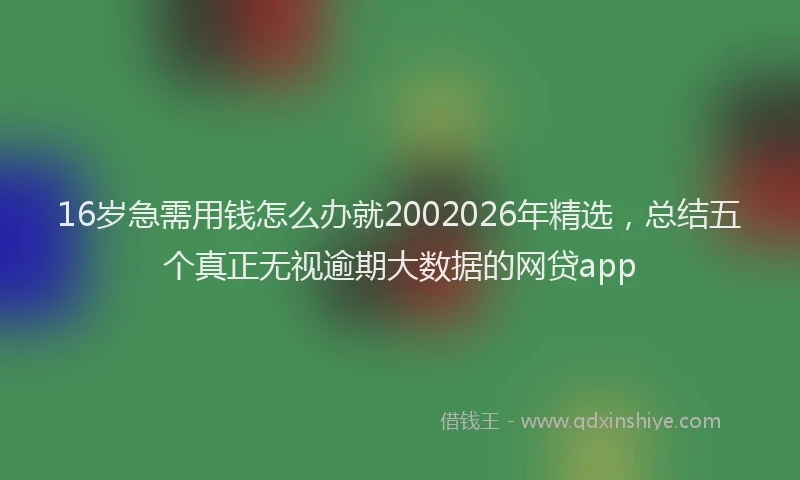 16岁急需用钱怎么办就2002026年精选，总结五个真正无视逾期大数据的网贷app