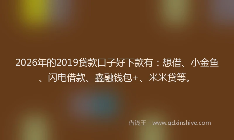 2026年的2019贷款口子好下款有：想借、小金鱼、闪电借款、鑫融钱包+、米米贷等。