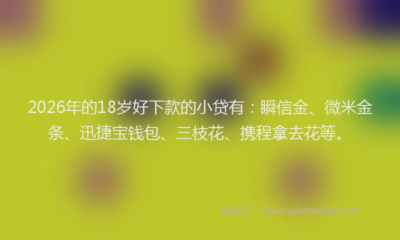 2026年的18岁好下款的小贷有：瞬信金、微米金条、迅捷宝钱包、三枝花、携程拿去花等。