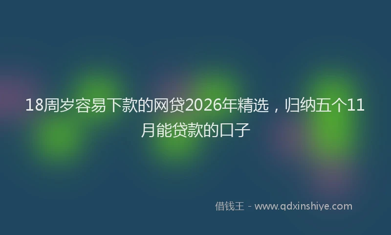 18周岁容易下款的网贷2026年精选,归纳五个11月能贷款的口子