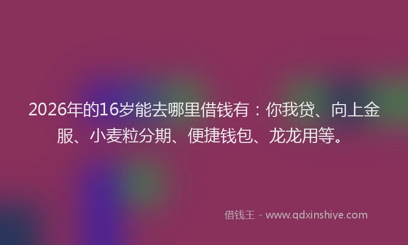 2026年的16岁能去哪里借钱有：你我贷、向上金服、小麦粒分期、便捷钱包、龙龙用等。