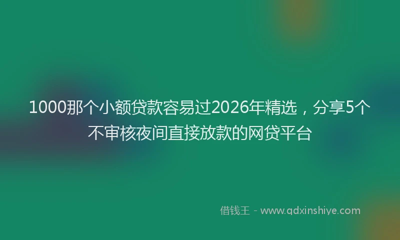 1000那个小额贷款容易过2026年精选，分享5个不审核夜间直接放款的网贷平台
