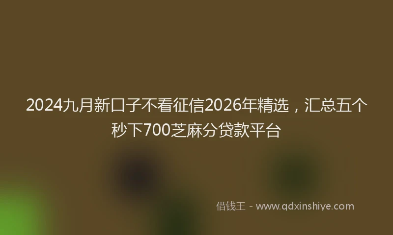 2024九月新口子不看征信2026年精选，汇总五个秒下700芝麻分贷款平台