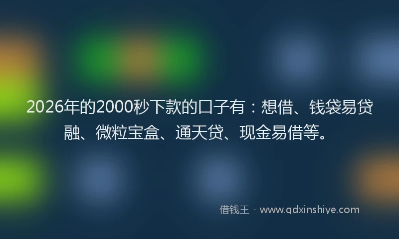 2026年的2000秒下款的口子有:想借、钱袋易贷融、微粒宝盒、通天贷、现金易借等。