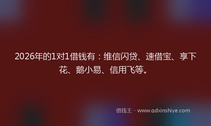 2026年的1对1借钱有：维信闪贷、速借宝、享下花、鹅小易、信用飞等。