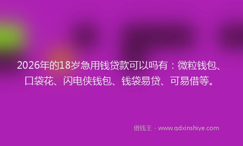 2026年的18岁急用钱贷款可以吗有：微粒钱包、口袋花、闪电侠钱包、钱袋易贷、可易借等。
