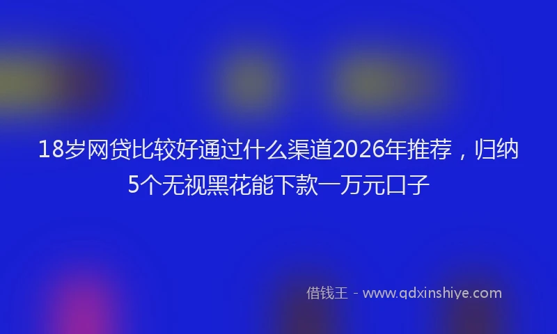 18岁网贷比较好通过什么渠道2026年推荐，归纳5个无视黑花能下款一万元口子
