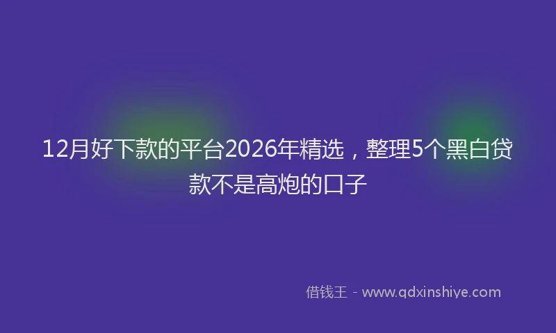 12月好下款的平台2026年精选，整理5个黑白贷款不是高炮的口子